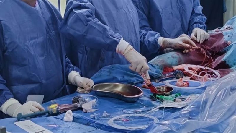 جانب من إجراء العمليات