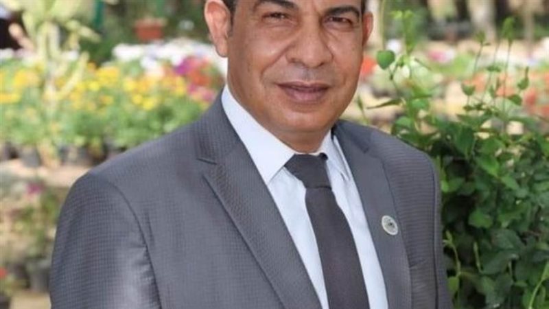 الدكتور حمدي إبراهيم