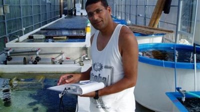 من القنابل إلى الشعاب المرجانية.. كيف تدمر الحروب الحياة البحرية وتغير المناخ؟