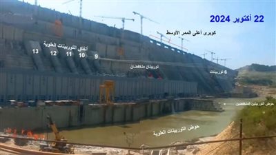 عاجل..د. عباس شراقي: توربينات سد النهضة فى حالة سكون تام