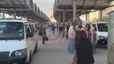 الدفع بـ 3 أتوبيسات و43 سيارة لنقل الأهالي وطلاب بيلا 