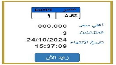 «المزاد شغال».. سعر لوحة «ج و ن 1» المميزة يتجاوز 800 ألف جنيه
