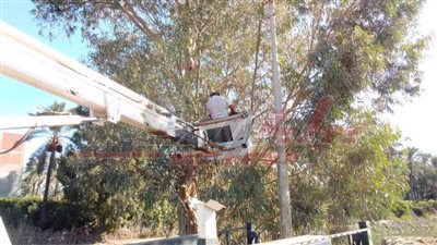 رفع كفاءة منظومة الإنارة العامة ببلطيم في كفر الشيخ