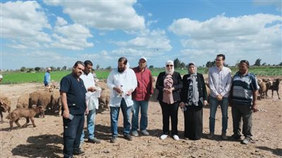 الكشف على 271 مواطنا و400 رأس ماشية بقافلة متكاملة مجانية بمركز كفر الدوار 