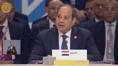 سياسيون: كلمة السيسي في قمة «بريكس» تؤكد دعم مصر للتعاون الدولي والتنمية المشتركة
