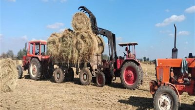 وزارة الزراعة : مليون و٥٧٨ ألف إجمالي ما تم كبسه من قش الأرز حتى الآن