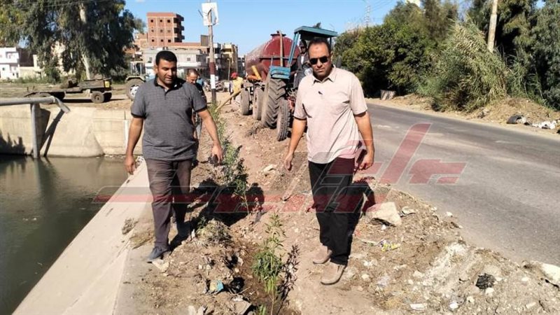 زراعة الأشجار