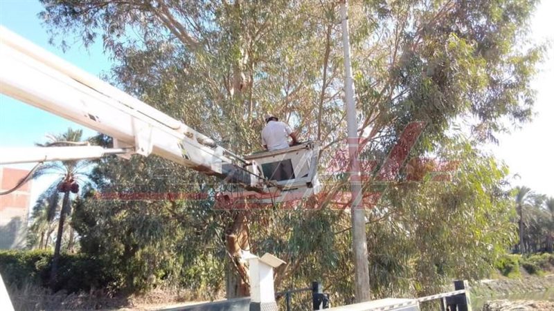 الإنارة العامة