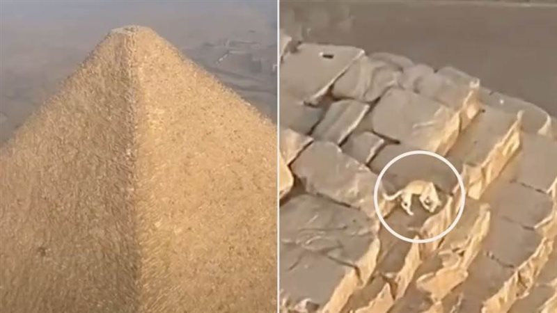 أبولو فوق هرم خفرع