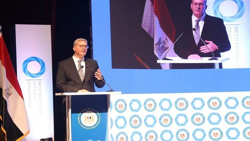 المهندس كريم بدوي