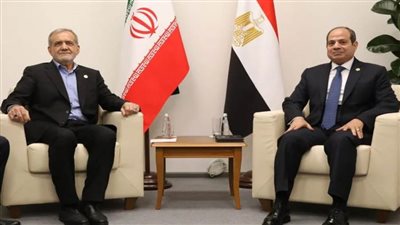 «الشهابي»: لقاء الرئيس السيسي بنظيره الإيراني يؤكد إستقلالية القرار المصري