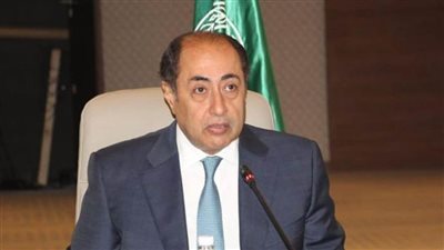 زكي: الأولوية لوقف لإطلاق النار في لبنان وتنفيذ قرار مجلس الأمن 1701