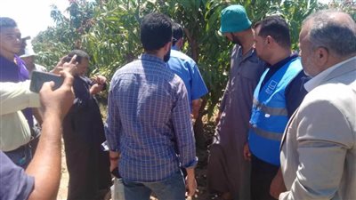 محافظ الإسماعيلية يتابع أنشطة مديرية الزراعة ضمن مبادرة بداية