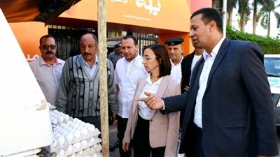 محافظ البحيرة تتفقد سيارات متنقلة لبيع بيض المائدة بأسعار مخفضة 