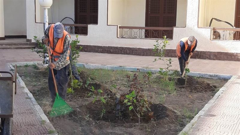 بوابة روز اليوسف