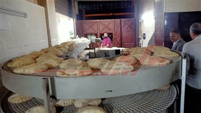 حملات تموينية مكبرة لمتابعة المخابز البلدية بكفر الشيخ 