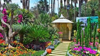 الحكومة: لا صحة لقطع النخيل والأشجار النادرة بحديقة الأورمان التاريخية تزامناً مع تنفيذ خطة تطويرها