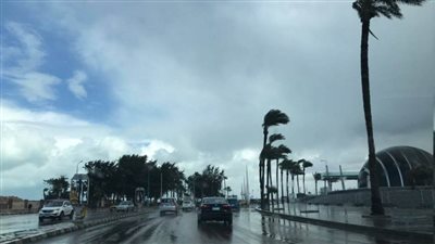 الأرصاد: اليوم طقس مائل للحرارة نهارًا مائل للبرودة ليلًا وشبورة مائية صباحا