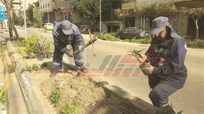 زراعة الأشجار بالجزر الوسطى بدسوق ضمن المبادرة الرئاسية «100 مليون شجرة»