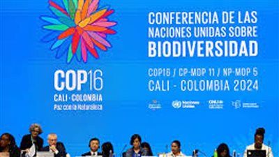 كوب 16: زيادة الصندوق العالمي للتنوع البيولوجي إلى 400 مليون دولار