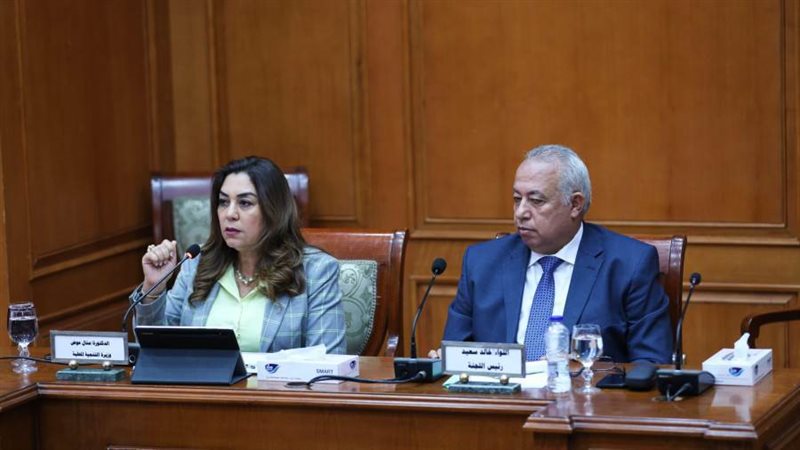 وزيرة التنمية المحلية