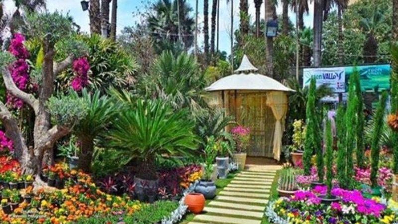 بوابة روز اليوسف