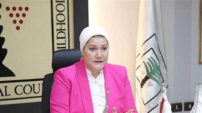 الطفولة والأمومة يستعد لإطلاق مبادرة لتأسيس 