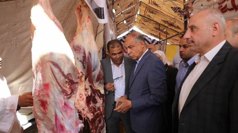 محافظ المنيا يفتتح