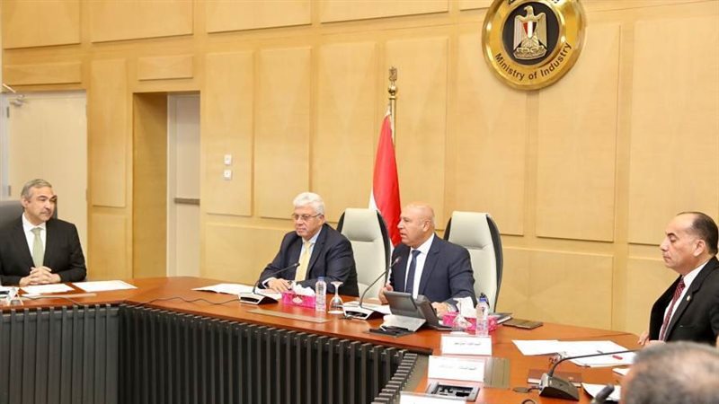 نائب رئيس مجلس الوزراء