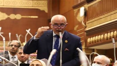 النائب حازم الجندي: مصر ستظل  المدافع الأول عن القضية الفلسطينية