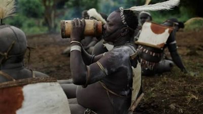 بشرب دماء الأبقار واللبن.. قبيلة بودي الإثيوبية تحتفل سنويا باختيار أكبر كرش