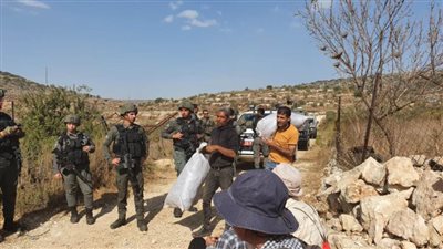 الاحتلال يطرد قاطفي الزيتون بالقعدة بديراستيا وإعلانها منطقة عسكرية مغلقة