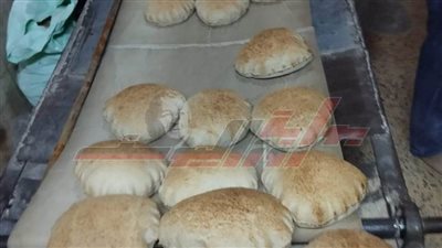 تموين الحامول يحرر 5 محاضر مخالفات تموينية بكفر الشيخ