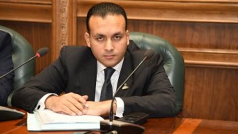 النائب عمرو فهمي