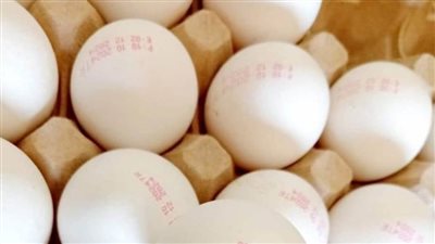 عاجل| الطبق بـ150 جنيهًا فى 718 منفذا.. أماكن بيع البيض التركي