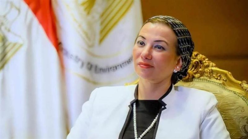 الدكتورة ياسمين فؤاد