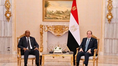 الرئيس السيسي يؤكد استمرار الدعم المصري للسودان الشقيق على المستويات كافة