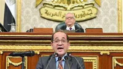 وزير المالية أمام النواب: التزام كامل بزيادة الإنفاق الموجه لتنمية الإنسان