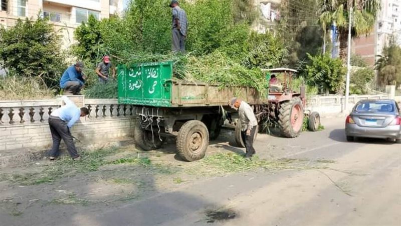 رفع المخلفات