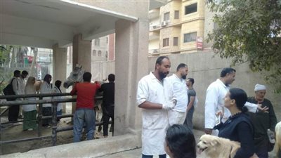 جامعة بنها تنظم قافلة بيطرية في الخصوص