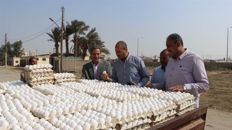 انتاج محطة السادات