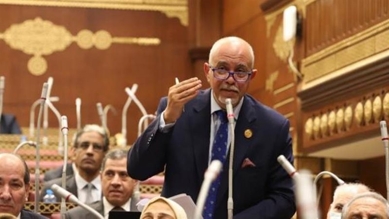 النائب المهندس حازم