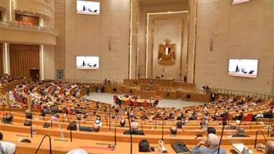 برلمانيون: تماسك الدولة المصرية يفشل المخططات التي تستهدف استقرارها