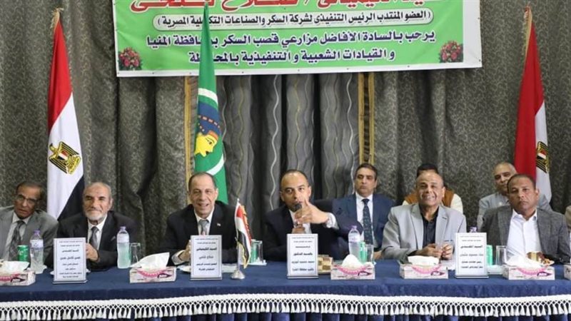 نائب محافظ المنيا