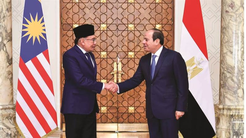 الرئيس عبد الفتاح