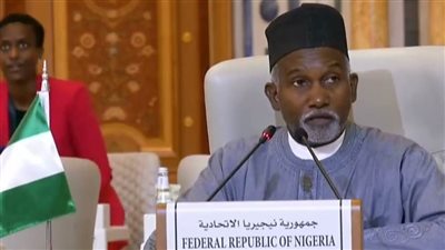 رئيس نيجيريا أمام القمة العربية: حل الدولتين أصبح إلزاميًا وعلينا العمل على إنهاء الصراع