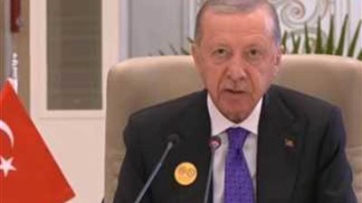 الرئيس التركي بالقمة العربية: يجب فرض حظر أسلحة على إسرائيل وعزلها دوليًا