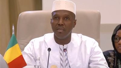 مالي تدعو إلى تحرك فعال لوقف العدوان على الشعب الفلسطيني