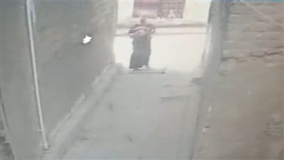 كشف ملابسات تداول مقطع فيديو بشأن تعدى سيدة على طفل بالإسكندرية
