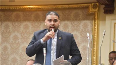 برلماني يتقدم بمقترح لتدشين اتحاد أفريقي للزراعة ويؤكد: أمن قومي للقارة السمراء